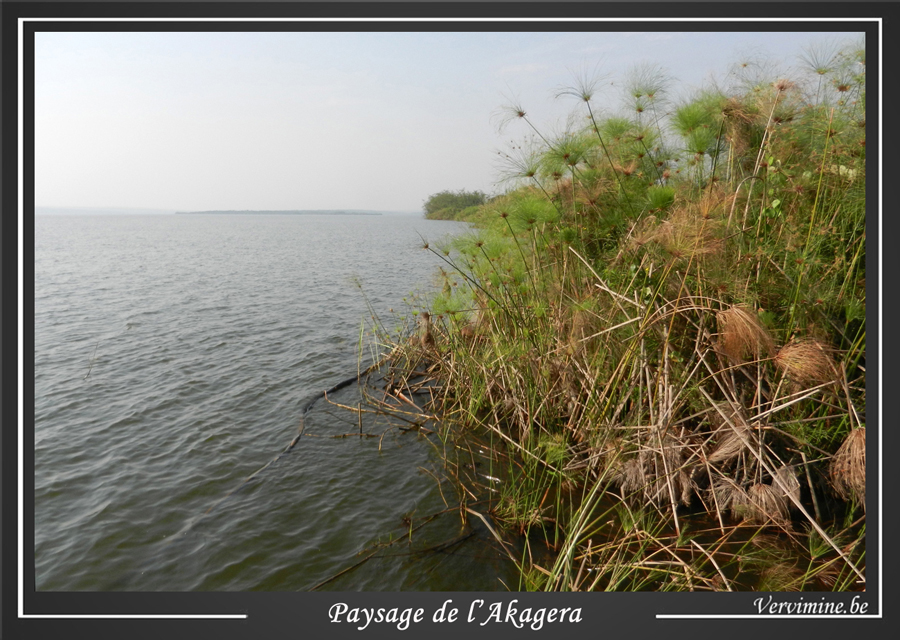 Paysage du lac Ihema  l'Akagera au Rwanda