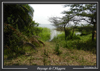 paysage au parc de l'Akagera, au Rwanda