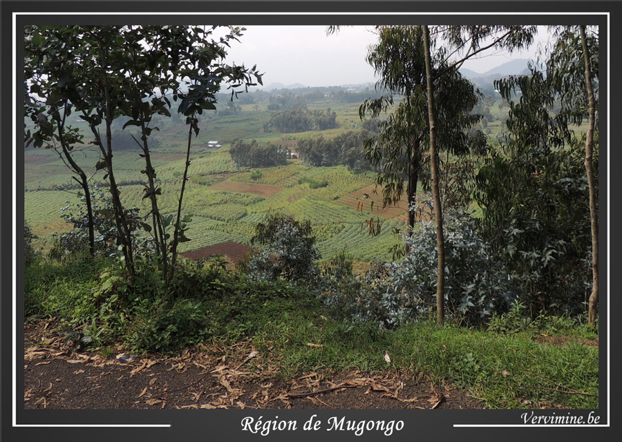 route de Mugongo 2 Rwanda