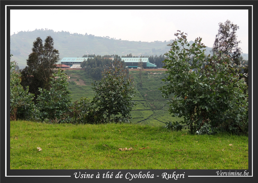 usine a th de Cyohoha-Rukeri- Rwanda